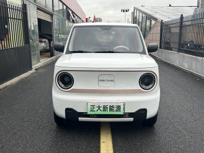 2023年8月 吉利 熊貓mini 200km 耐力熊圖片