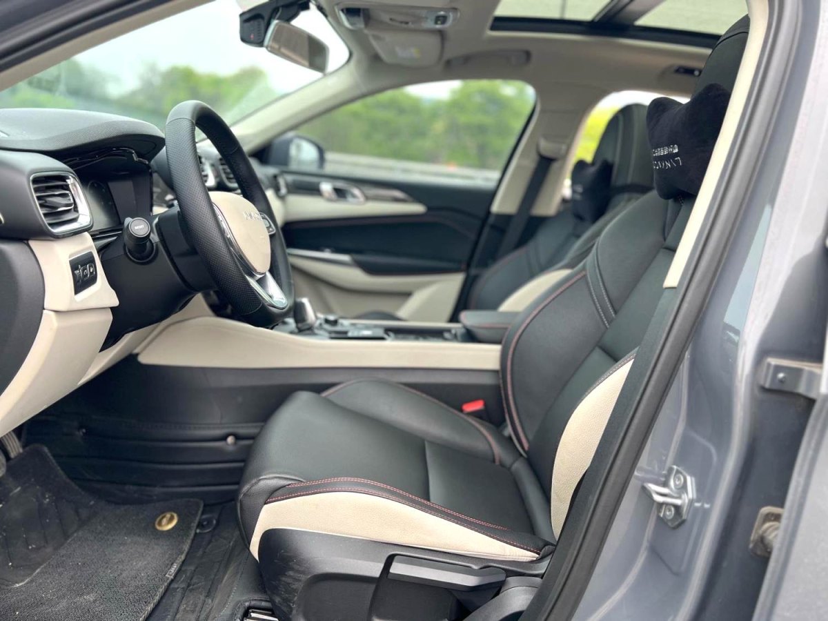 領(lǐng)克 領(lǐng)克02新能源  2019款 1.5T PHEV Pro圖片
