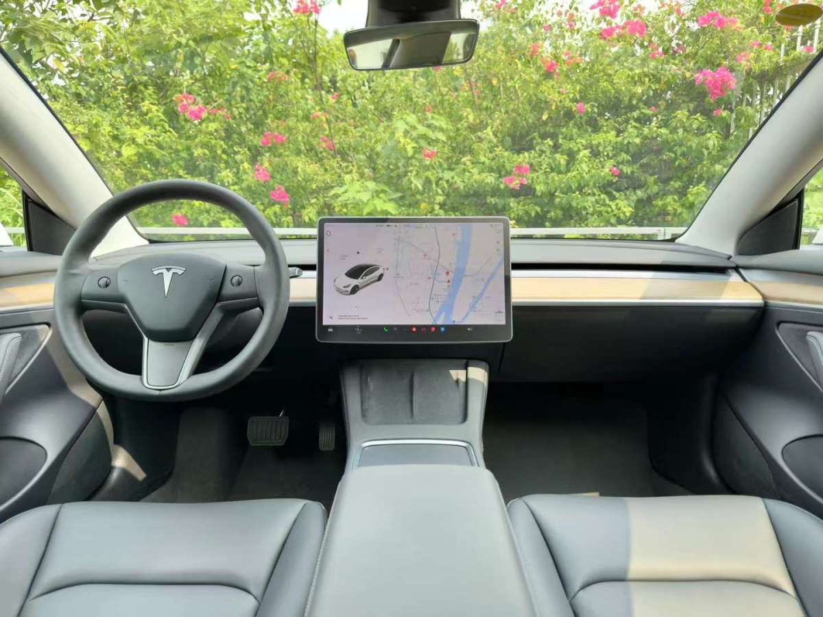 特斯拉 Model 3  2019款 標準續(xù)航后驅升級版圖片