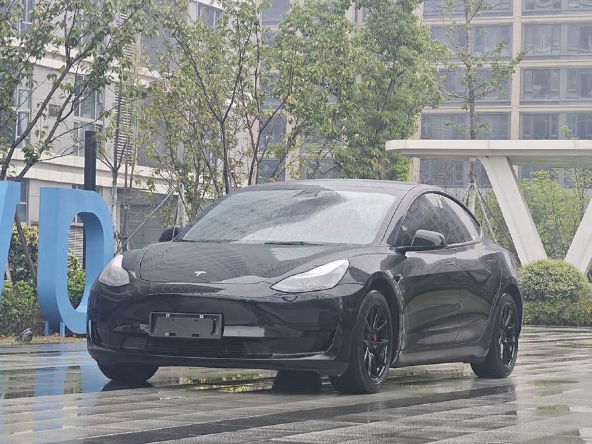 特斯拉 Model 3  2019款 標(biāo)準(zhǔn)續(xù)航后驅(qū)升級(jí)版圖片