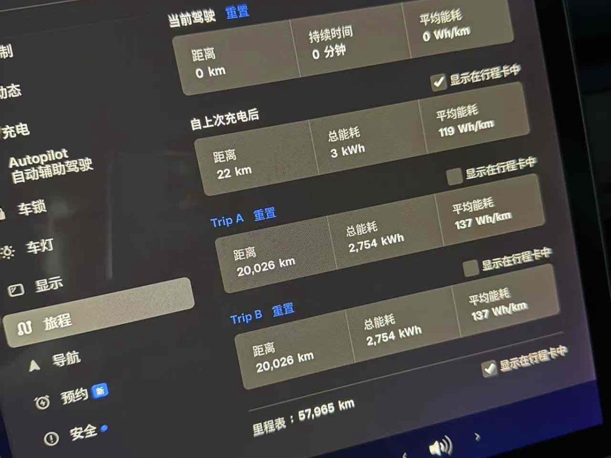 特斯拉 Model 3  2019款 標(biāo)準(zhǔn)續(xù)航后驅(qū)升級版圖片