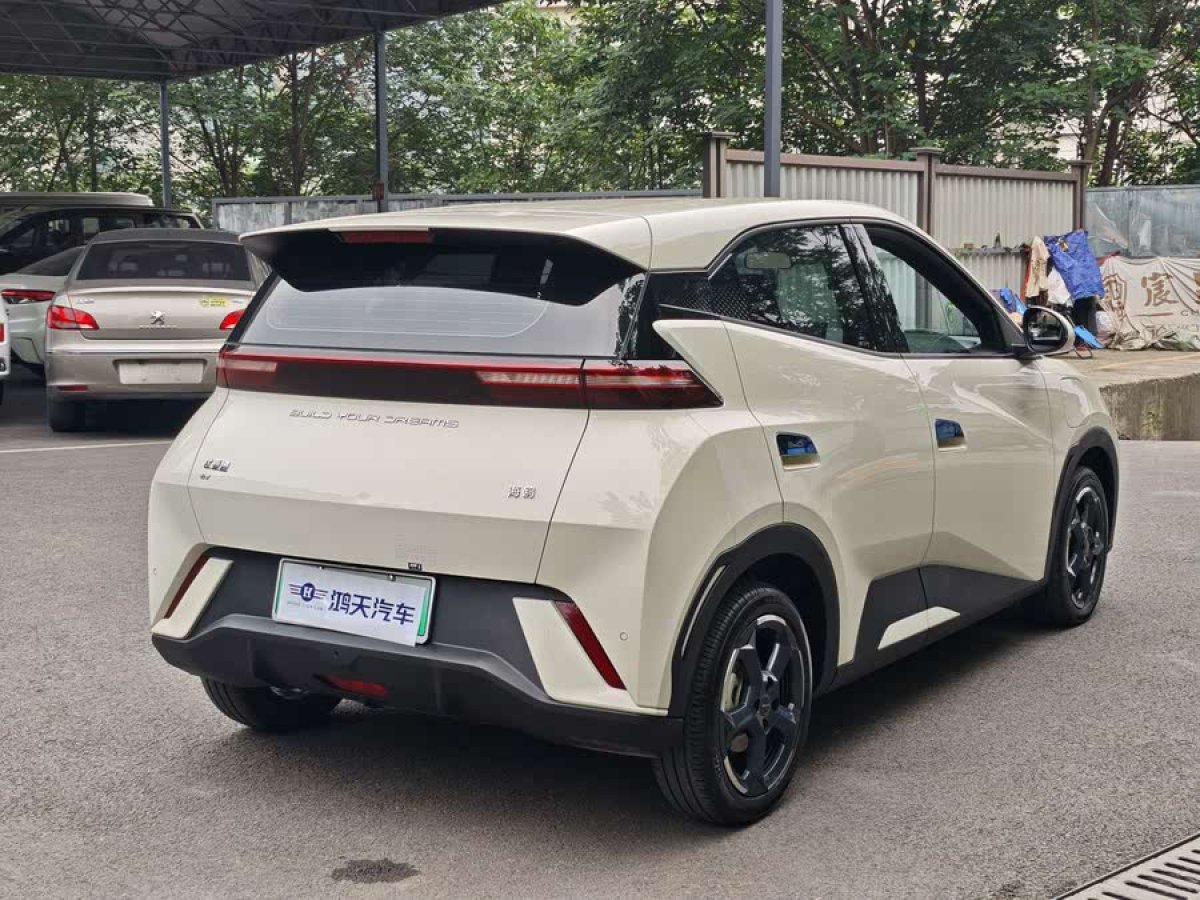 比亞迪 海鷗  2024款 榮耀版 405km 飛翔版圖片