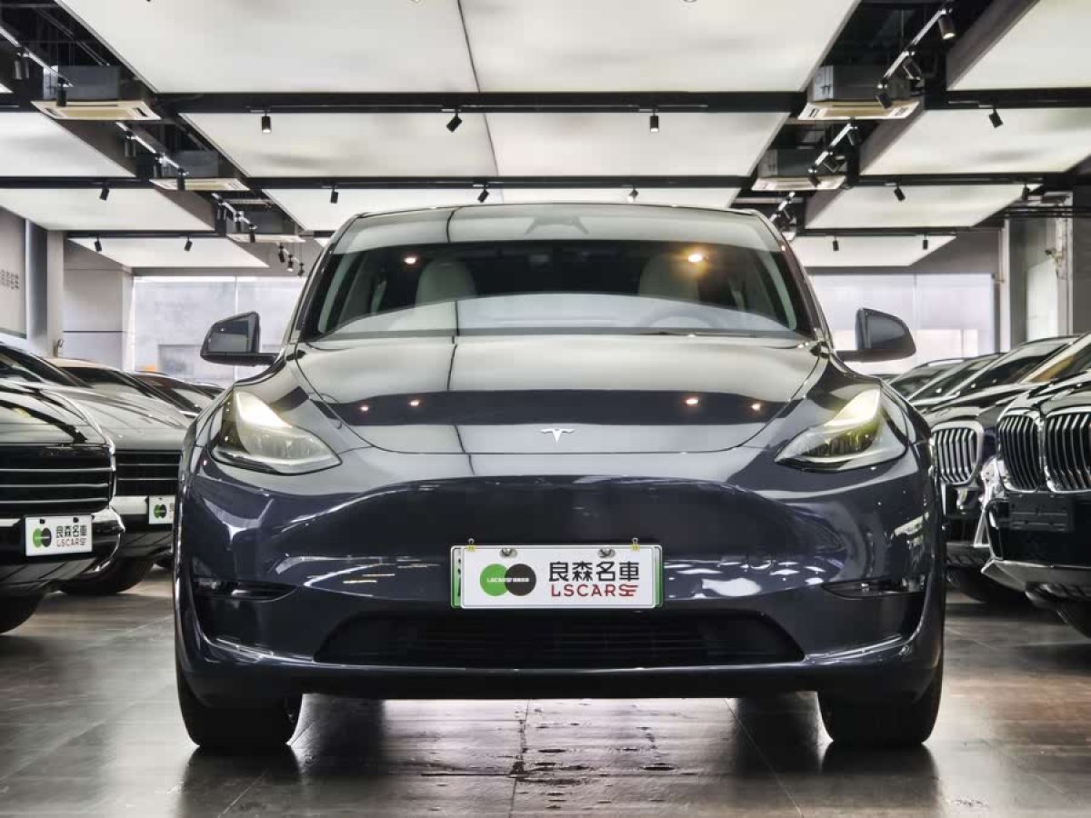 特斯拉 Model Y  2023款 高性能全輪驅(qū)動(dòng)版圖片