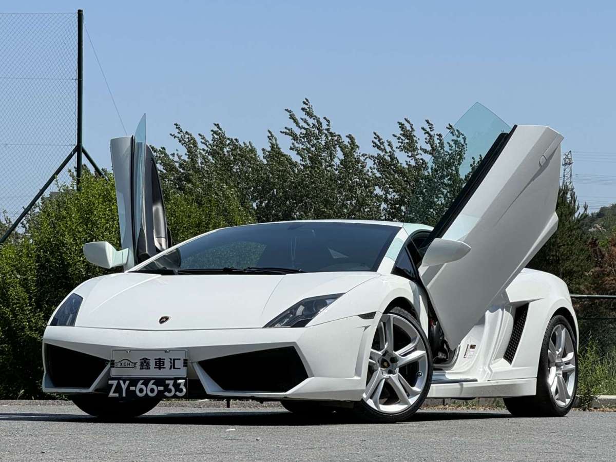 蘭博基尼 Gallardo  2010款 LP 550-2 Valentino Bolboni圖片