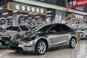 Model 3 特斯拉 改款 長(zhǎng)續(xù)航后輪驅(qū)動(dòng)版