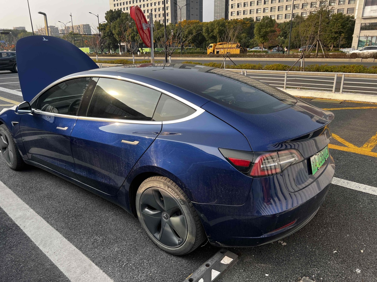 特斯拉 Model 3  2019款 標(biāo)準(zhǔn)續(xù)航后驅(qū)升級版圖片