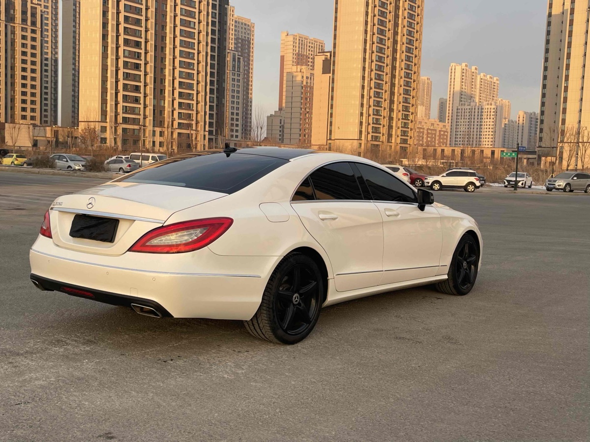 奔馳 奔馳CLS級  2012款 CLS 300 CGI圖片