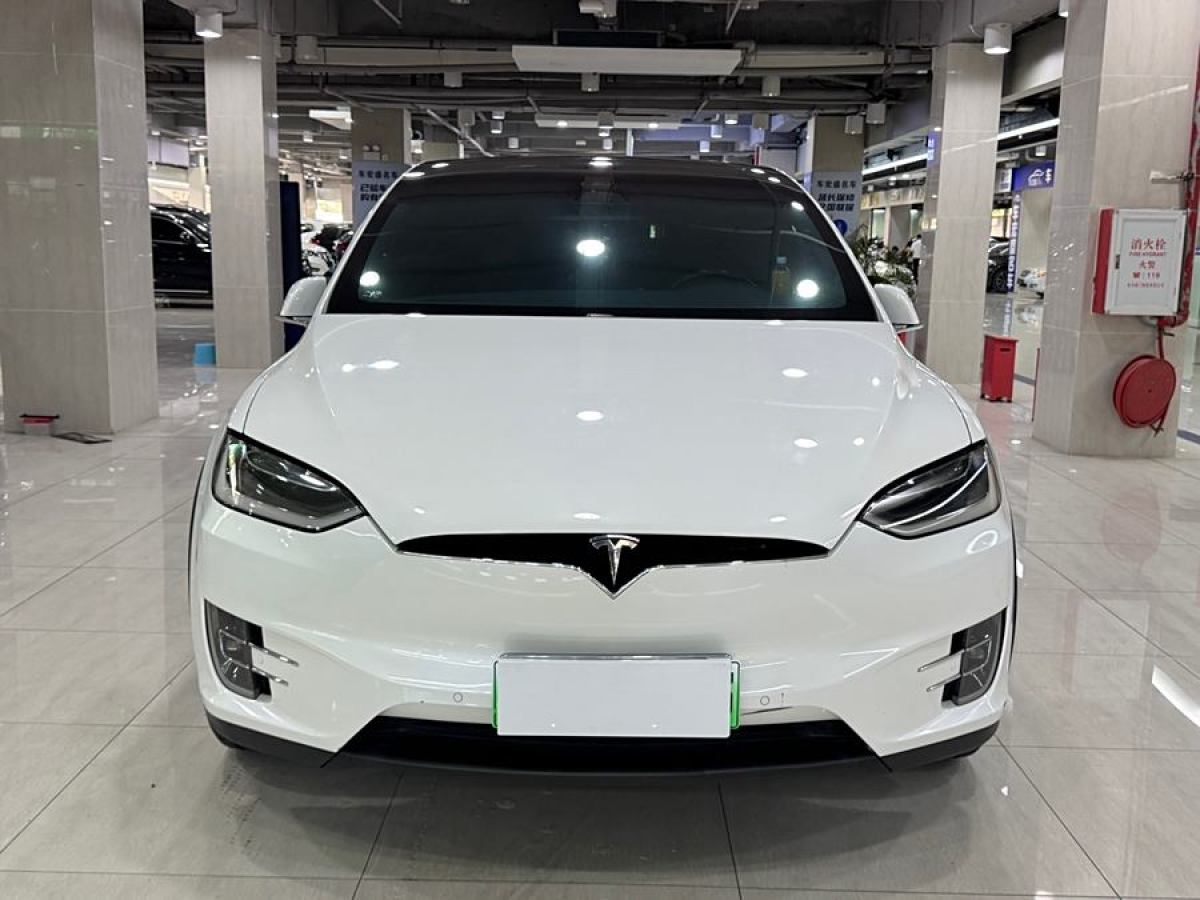 2018年1月特斯拉 Model X  2017款 Model X 100D 長續(xù)航版