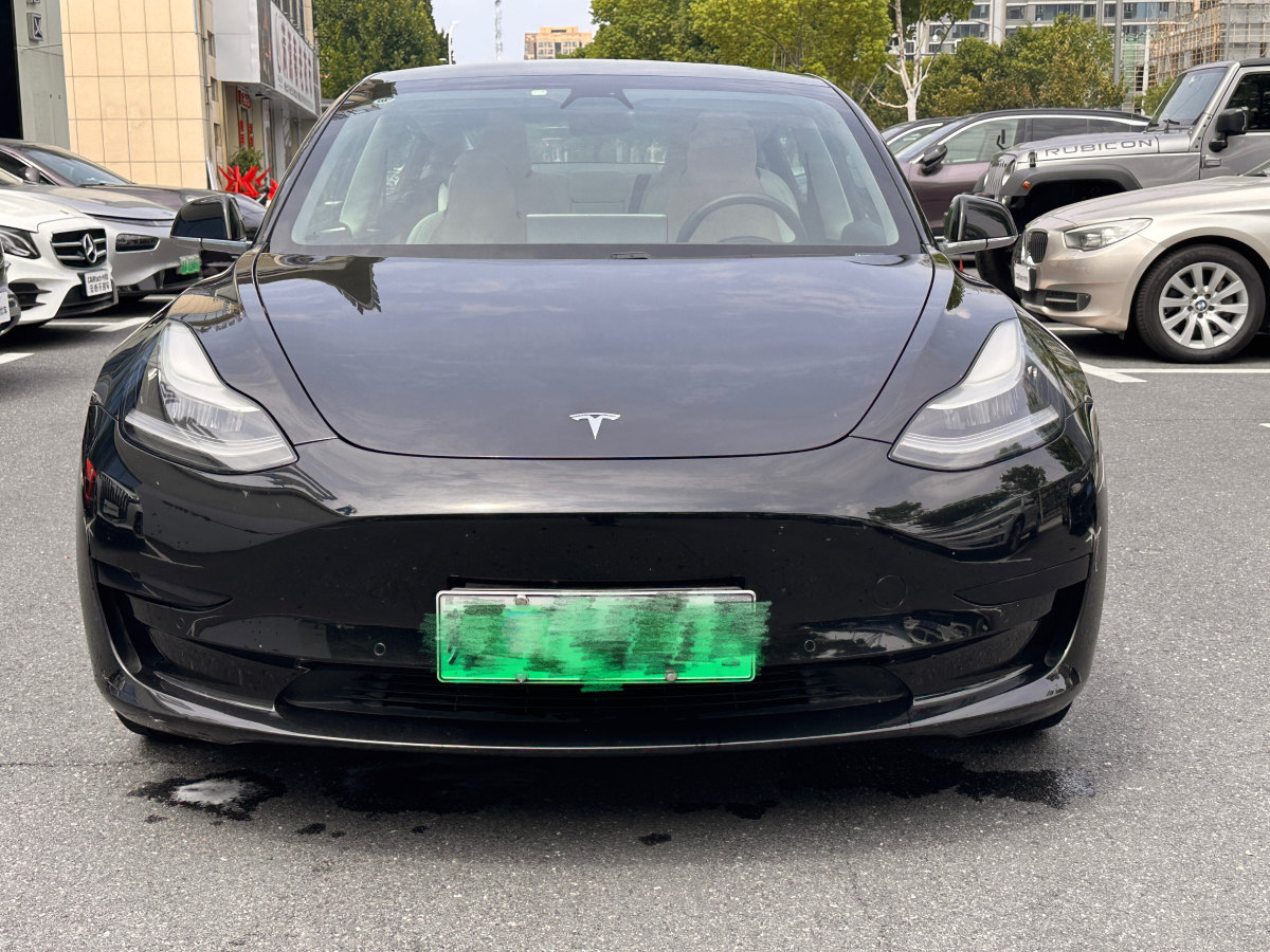 特斯拉 Model 3  2019款 標準續(xù)航后驅(qū)升級版圖片