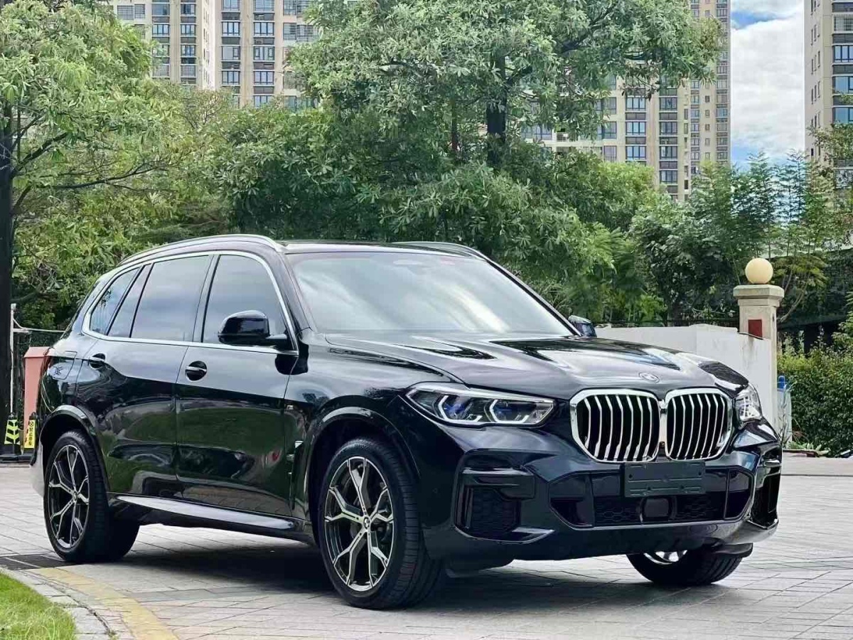 宝马 宝马X5  2022款 改款 xDrive 40Li M运动套装图片