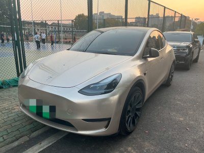 2021年8月 特斯拉 Model 3 改款 標(biāo)準(zhǔn)續(xù)航后驅(qū)升級(jí)版圖片