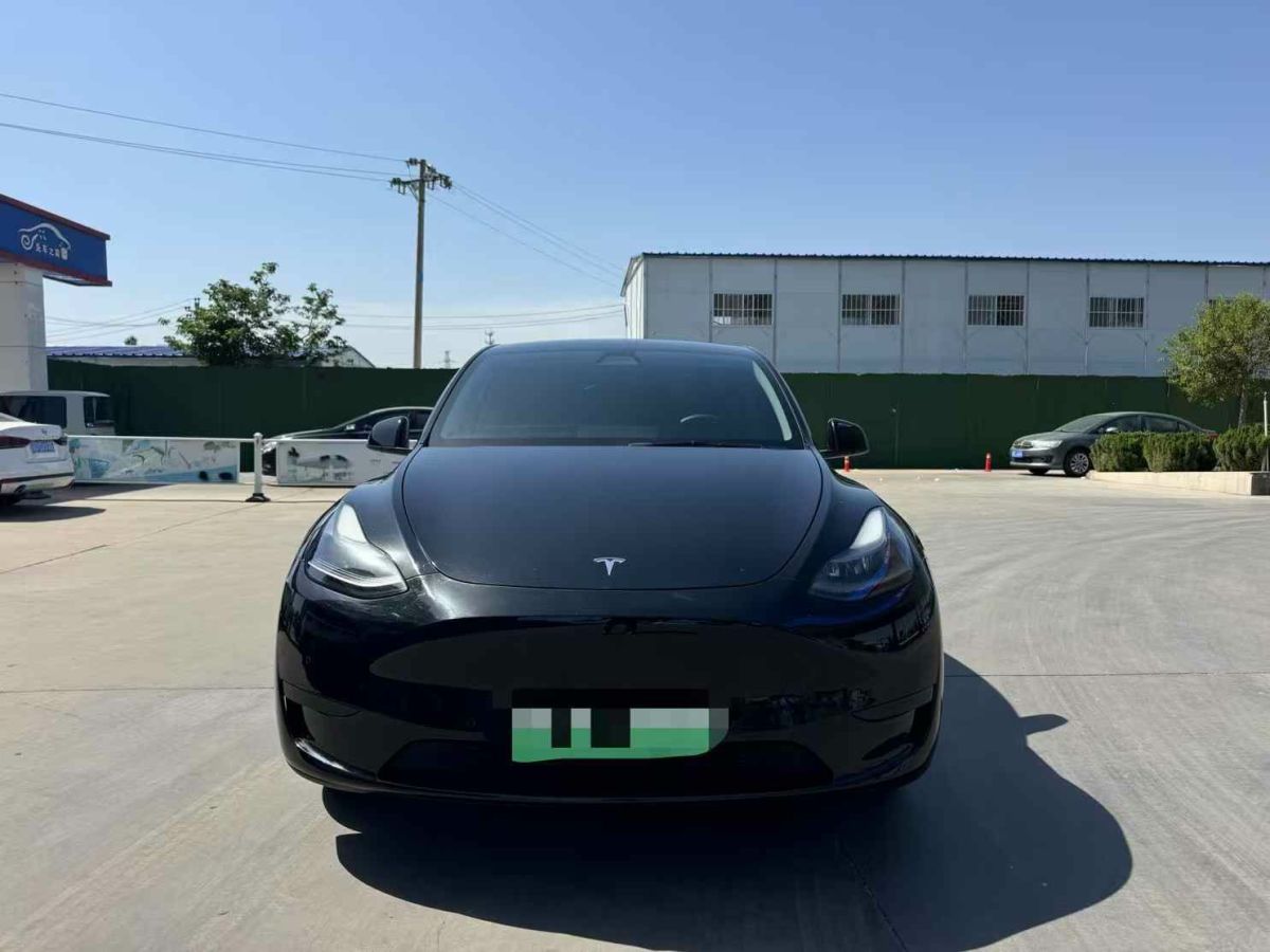 特斯拉 Model Y  2022款 Performance高性能全輪驅(qū)動版圖片