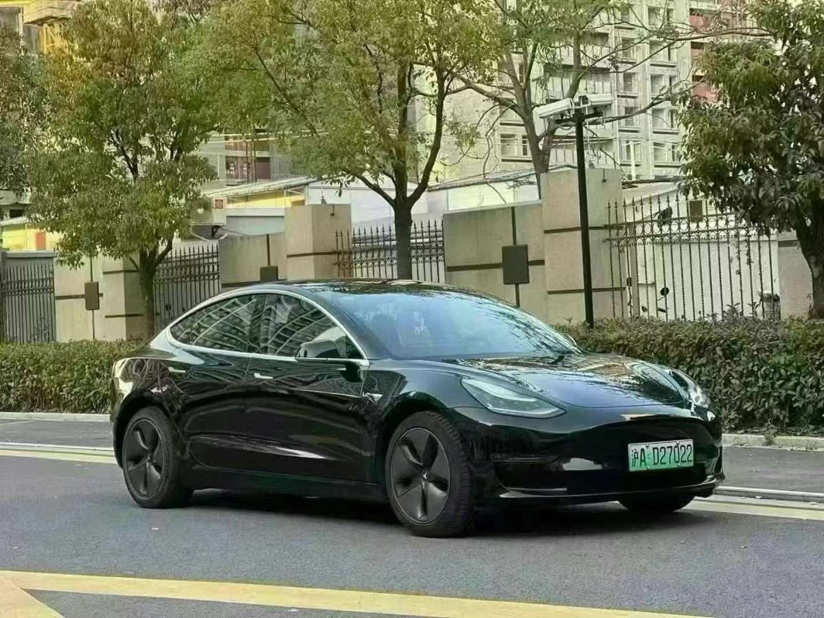 特斯拉 Model 3  2019款 長續(xù)航后驅(qū)版圖片