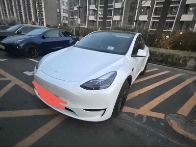 2022年3月 特斯拉 Model 3 長續(xù)航煥新版 雙電機(jī)全輪驅(qū)動圖片