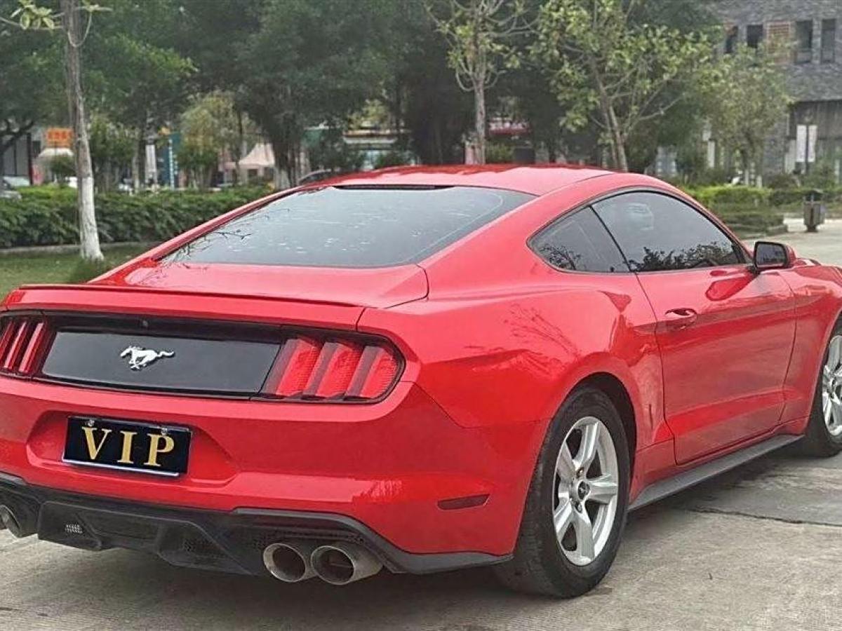 福特 Mustang  2015款 2.3T 性能版圖片