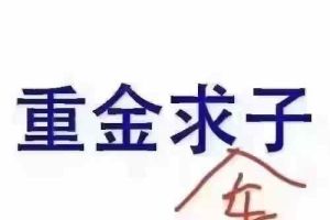 奧迪A6 奧迪 allroad