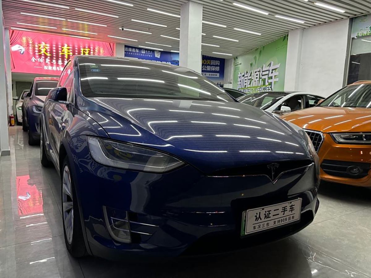 2019年9月特斯拉 Model X  2019款 長續(xù)航版