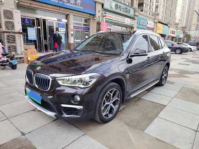 2018年10月 宝马 宝马X1新能源 xDrive25Le 豪华型图片