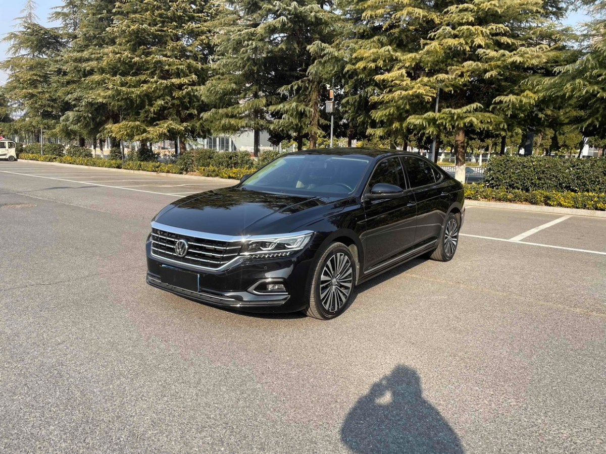 大眾 帕薩特  2019款 330TSI 豪華版圖片