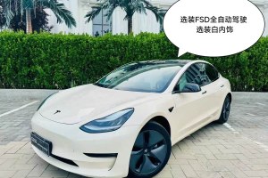 Model 3 特斯拉 長續(xù)航后驅(qū)版