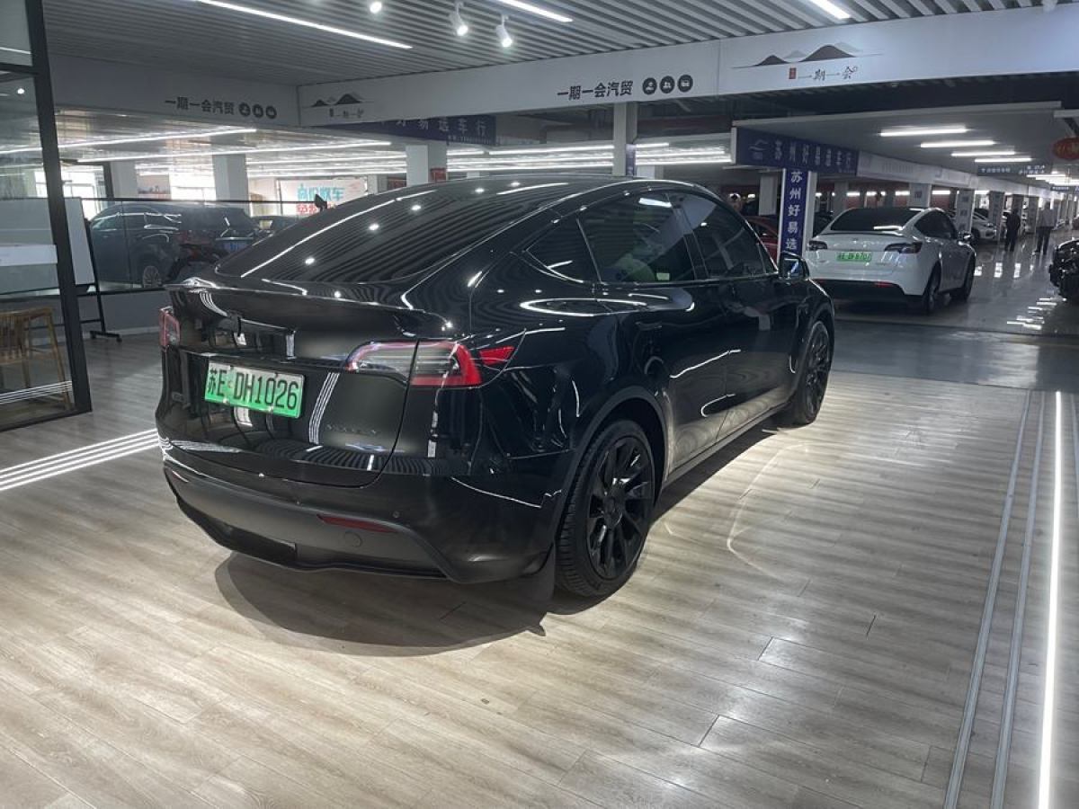 特斯拉 Model Y  2020款 改款 長續(xù)航后輪驅(qū)動版圖片