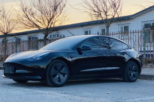 Model Y 特斯拉 改款 后輪驅(qū)動版