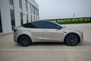 Model Y 特斯拉 改款 后輪驅(qū)動版
