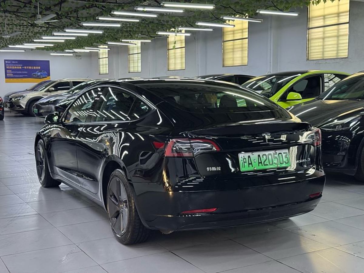 特斯拉 Model 3  2021款 標(biāo)準(zhǔn)續(xù)航后驅(qū)升級版 3D6圖片