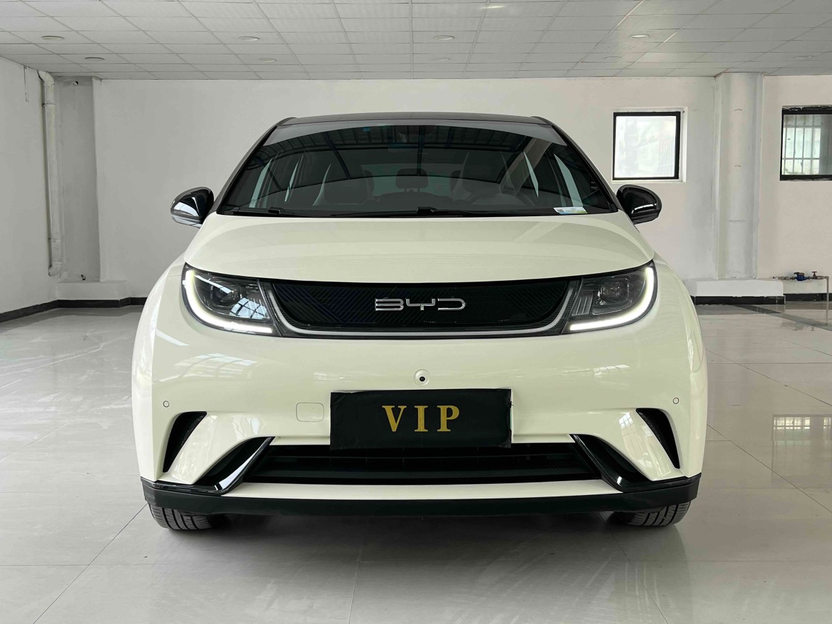 比亞迪 海豚  2023款 420km 時(shí)尚版圖片