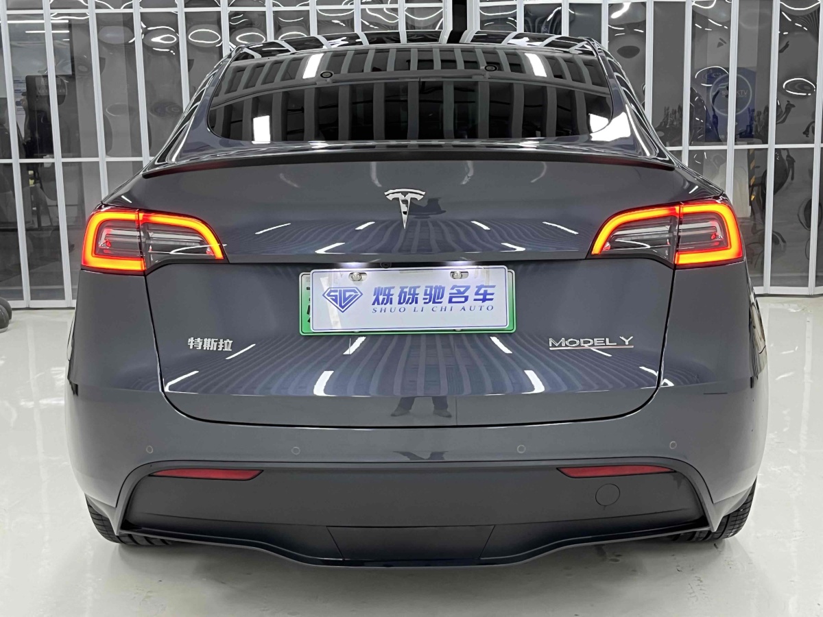 特斯拉 Model 3  2021款 改款 Performance高性能全輪驅(qū)動(dòng)版圖片