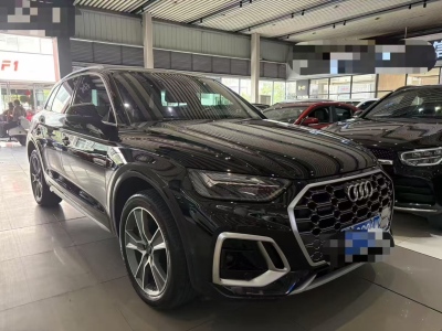 2023年8月 奧迪 奧迪Q5L 45T 豪華動感型圖片