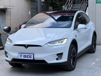 2020年1月 特斯拉 Model X 长续航版图片