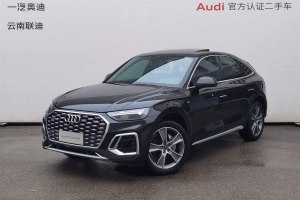 奧迪Q5L Sportback 奧迪 改款 40 TFSI 豪華型