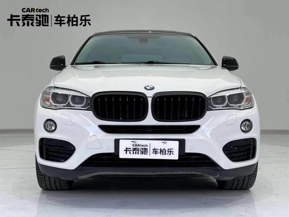 寶馬 寶馬X6  2018款 xDrive35i 領(lǐng)先型圖片