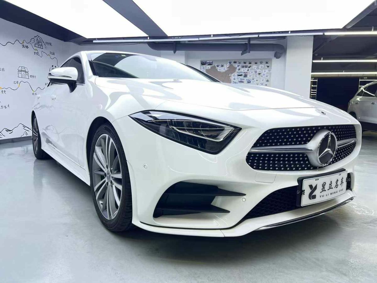 奔馳 奔馳CLS級  2021款 CLS 260圖片