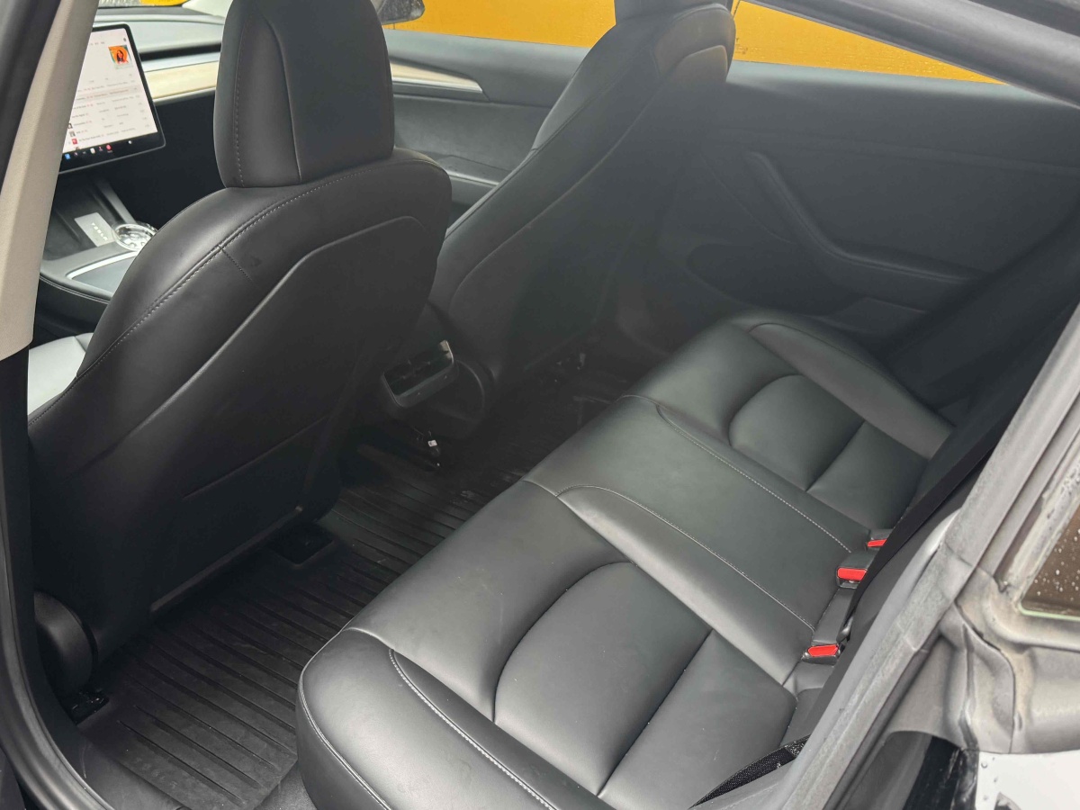 特斯拉 Model 3  2021款 標(biāo)準(zhǔn)續(xù)航后驅(qū)升級版 3D6圖片