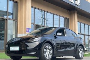 Model Y 特斯拉 后轮驱动版