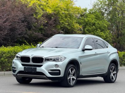 2014年12月 寶馬 寶馬X6(進(jìn)口) xDrive35i 豪華型圖片