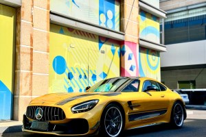 奔驰AMG GT 奔驰 AMG GT R PRO