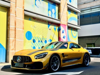 2020年4月 奔馳 奔馳AMG GT AMG GT R PRO圖片