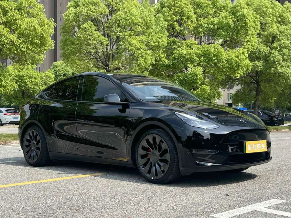 特斯拉 Model Y  2023款 高性能全輪驅(qū)動版圖片