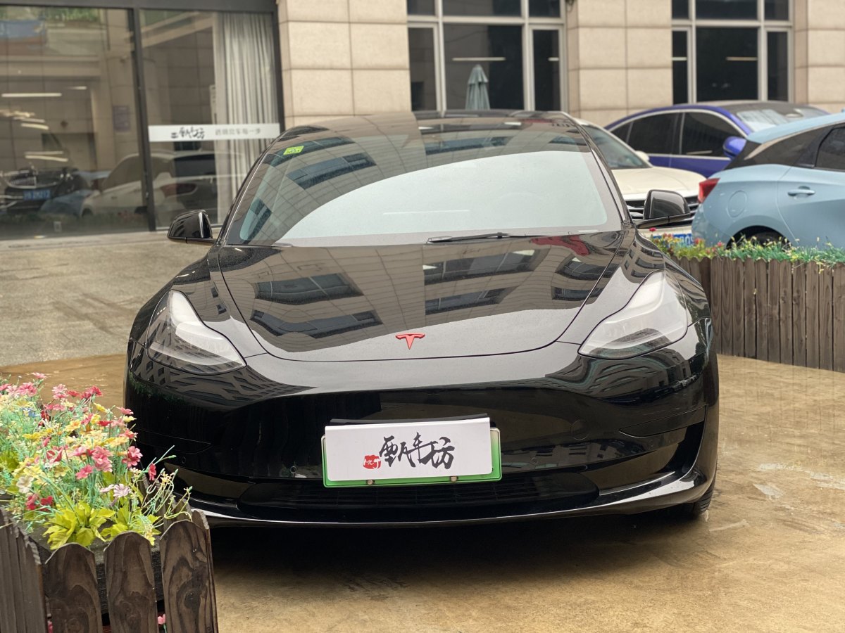 特斯拉 Model 3  2019款 標(biāo)準(zhǔn)續(xù)航后驅(qū)升級(jí)版圖片