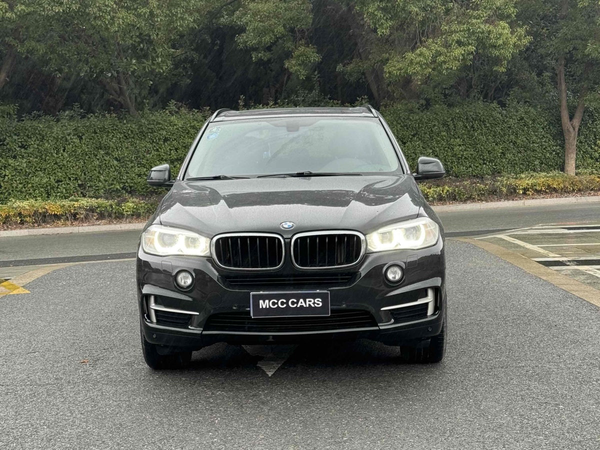 寶馬 寶馬X5  2014款 xDrive35i 領(lǐng)先型圖片