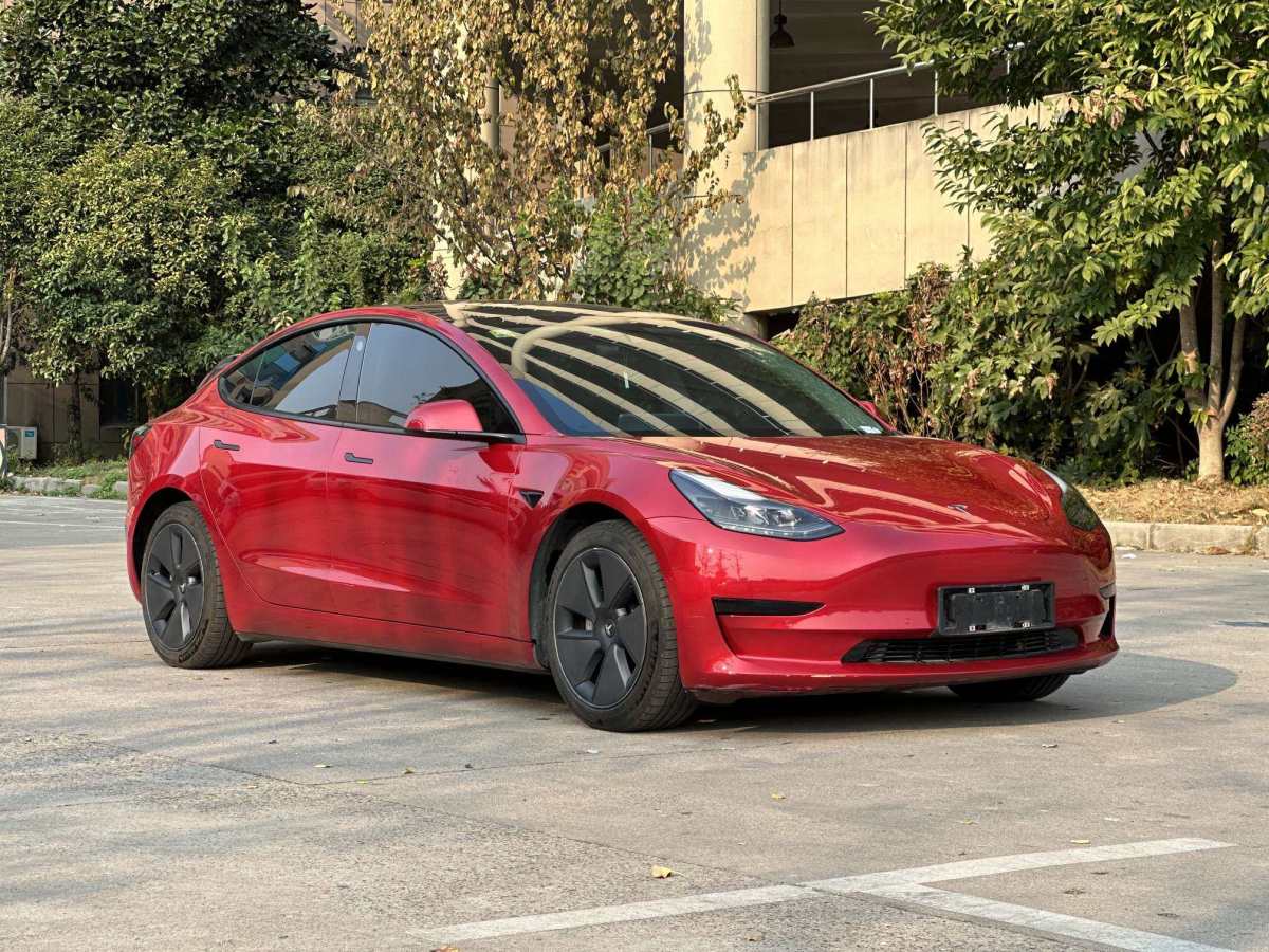 2021年3月特斯拉 Model Y  2021款 標準續(xù)航后驅(qū)升級版 3D6