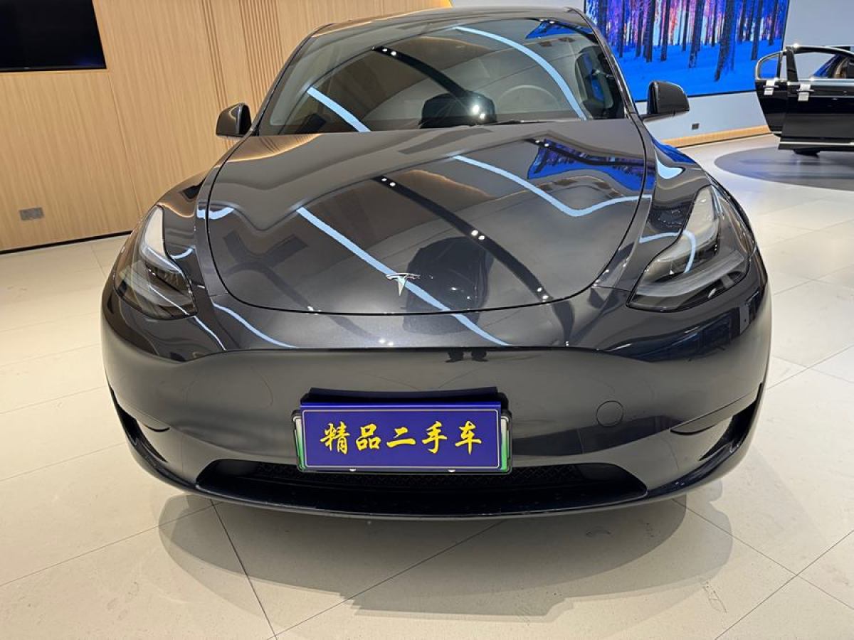 特斯拉 Model 3  2020款 改款 長續(xù)航后輪驅(qū)動(dòng)版圖片