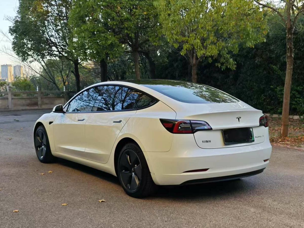 特斯拉 Model Y  2021款 標(biāo)準(zhǔn)續(xù)航后驅(qū)版圖片