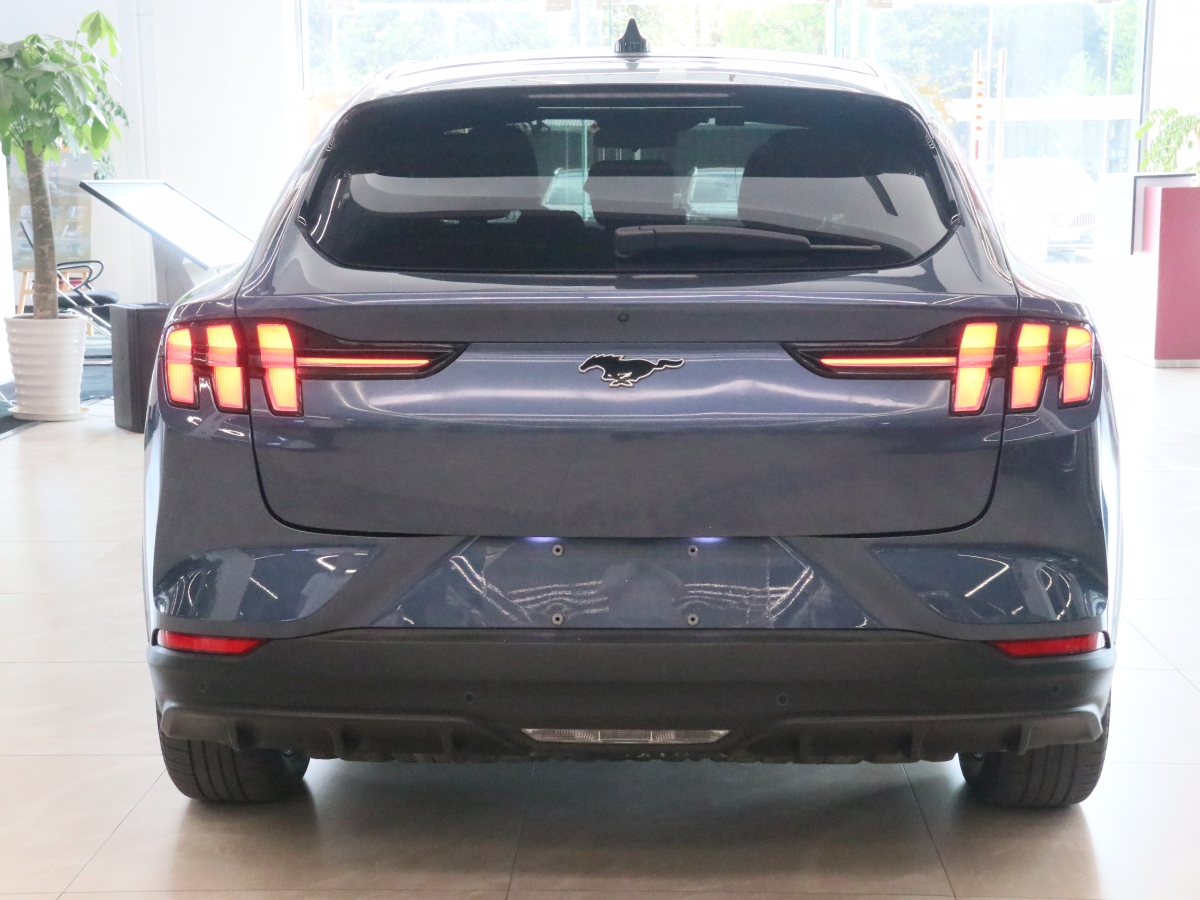 福特 Mustang Mach-E  2021款 标准续航后驱版图片