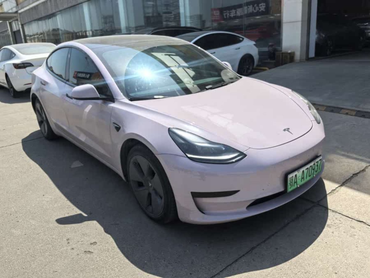 特斯拉 Model 3  2022款 后輪驅(qū)動(dòng)版圖片