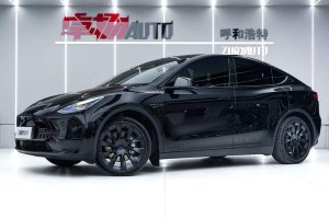 Model Y 特斯拉 改款 后輪驅(qū)動版