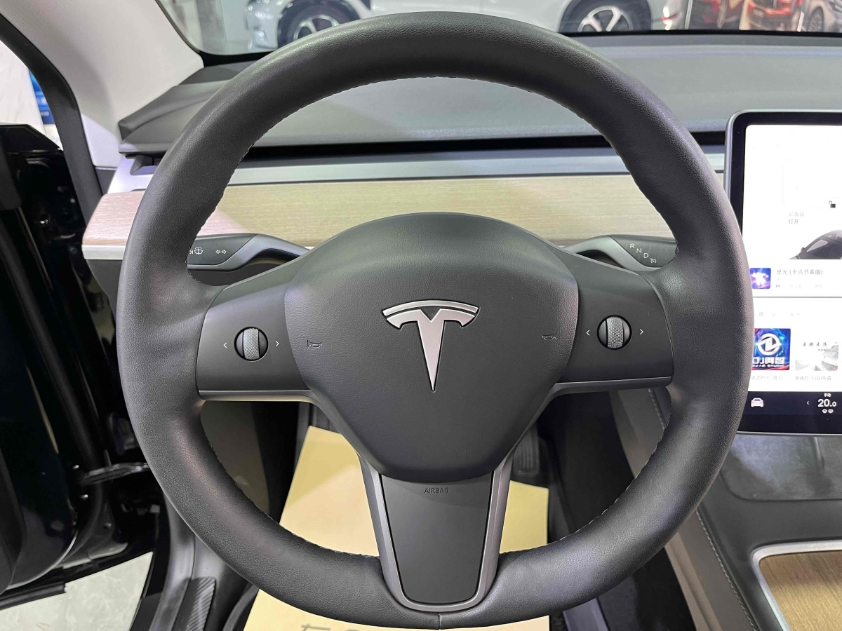 特斯拉 Model Y  2021款 改款 長續(xù)航全輪驅動版圖片